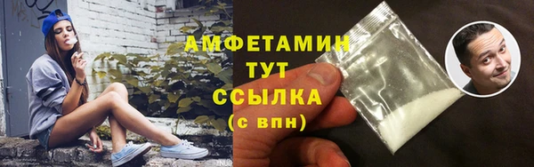 гидра Арсеньев