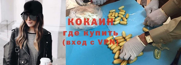 гидра Арсеньев