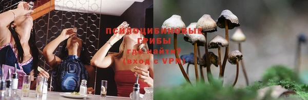 гидра Арсеньев