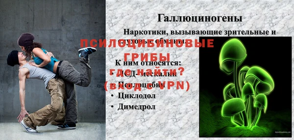 гидра Арсеньев