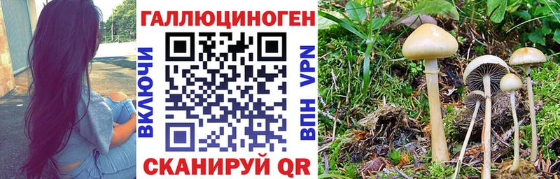 купить наркотик  Ярцево  Галлюциногенные грибы ЛСД 